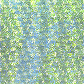 Bild 020 - The Leaves Of The Sensitive Plant Closing