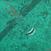 Bild 183 - Nesmrtelnost