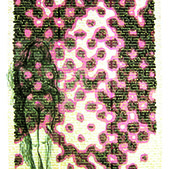 Bild 141 - Abolitionisme / Terpsichore V