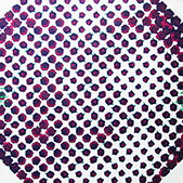 Bild 180 - Un Sylphe