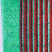 Ursus - Bild 079: Silvia / Unter Dem Grossen Bär; Detail