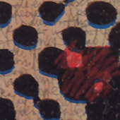 Ursus - Bild 161: Weiss Und Frisch; Detail