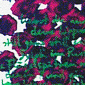 Ursus - Bild 180: Un Sylphe; Detail