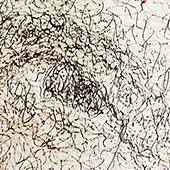 Ursus - Bild 251: Mh, Mh, Mh; Detail