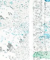 Ursus - Bild 282: Seh'n'Sucht, Detail