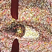 Ursus - Bild 292: My Shadow; Detail